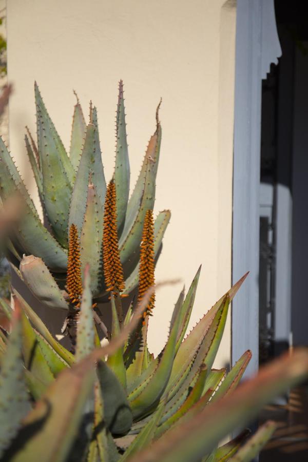 Riad Les Hirondelles Boutique Hotel Marrakesh Luaran gambar